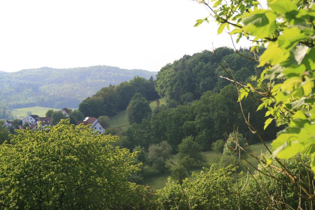 Landidyll Hotel Zum Alten Schloss Kirchensittenbach Δωμάτιο φωτογραφία